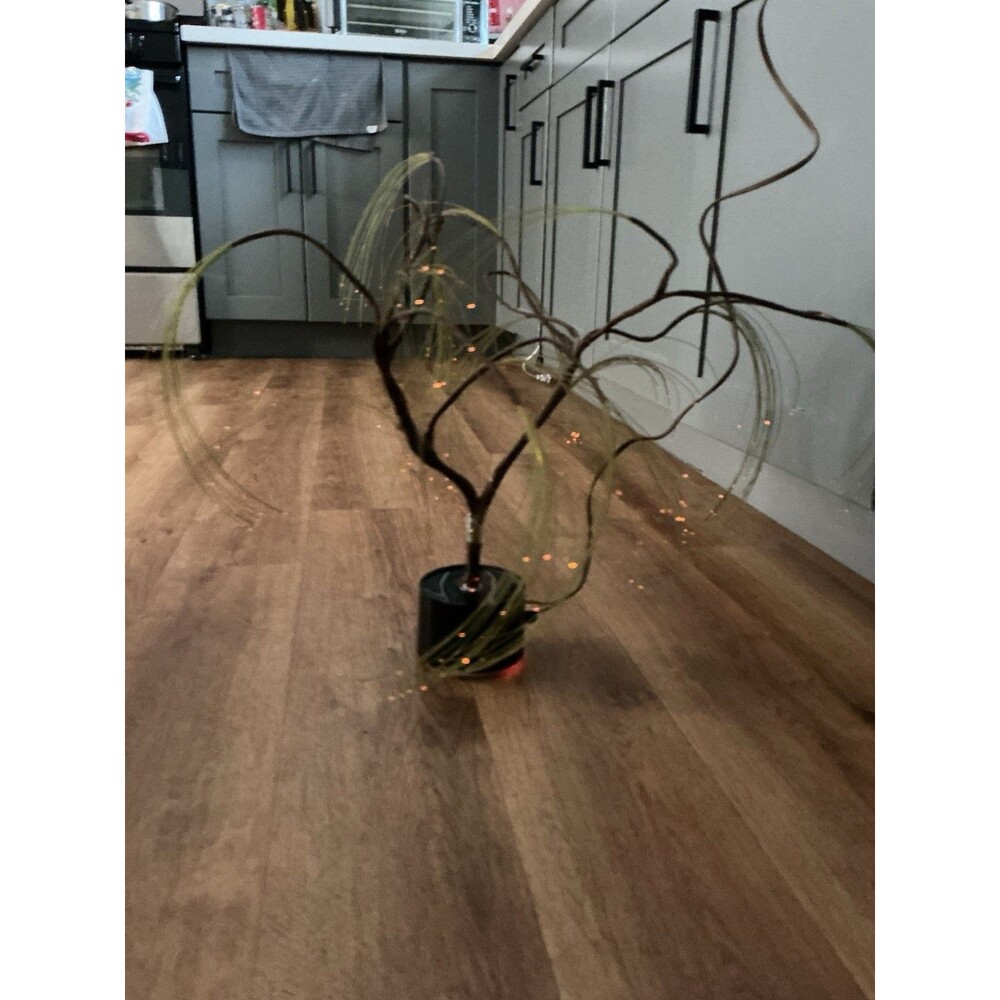 Vintage Fiber Optic Weeping Willow Tree Lamp Black Base Tested Working Retro